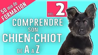 TOUT SAVOIR SUR VOTRE CHIEN 2