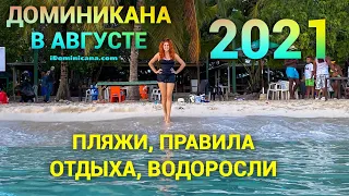 Доминикана в августе 2021: пляжи, водоросли, правила отдыха
