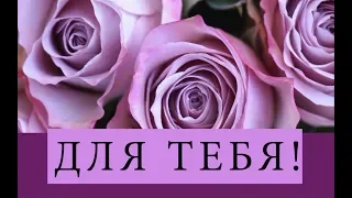 🎆 Для тебя!🎆 Анимационная открытка/пожелание #WhatsApp #Длятебя