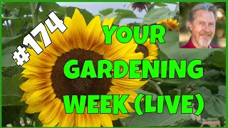 Are You a Garden Gladiator? (Q&A)