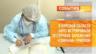 В Курской области зарегистрировали 38 случаев заражения «свиным» гриппом