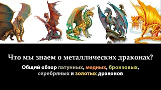 Что мы знаем о металлических драконах?