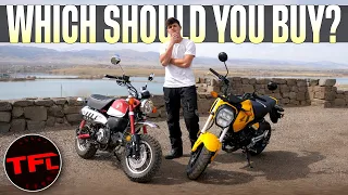 Honda Monkey VS Honda Grom: Which Honda MiniMOTO Is Best?