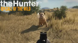 The Hunter Call Of The Wild Pc Gameplay [Lion Female]