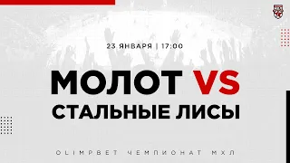 23.01.2023. МХК «Молот» – «Стальные Лисы» | (OLIMPBET МХЛ 22/23) – Прямая трансляция