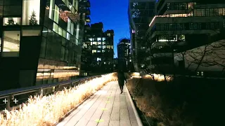 Walking at NYC High Line Park at Night Time