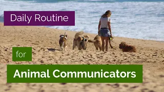 Animal Communication Training Daily Self Care for Animal Communicators