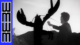 Aliens growing GIANT LOBSTERS! - Teenagers from Outer Space (1959)