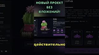 #PixelVerse НОВАЯ P2E БЕЗ ВЛОЖЕНИЙ | #web3game