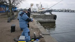 Ловля корюшки на Финском заливе порт г.  Ломоносов Санкт Петербург  10 03 2020