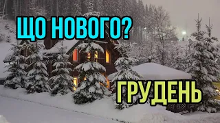 Що нового? Грудень 2021 Огляд плану монет Рік Тигра банкноти 50 грн та 1000 грн Збройні Сили України