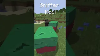 Minecraft Sniffer Mod | Minecraft Mob Vote #shorts