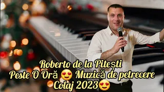 ROBERTO DE LA PITESTI ⭐️ COLAJ HORE SI SARBE 💯 PESTE O ORA MUZICA DE PETRECERE