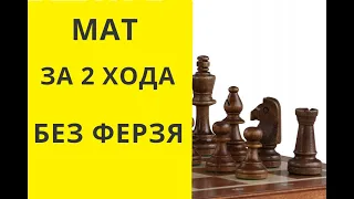 Шахматы. МАТ ЗА 2 ХОДА . БЕЗ ФЕРЗЯ.  онлайн. бесплатные. играющие