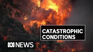 NSW faces second catastrophic fire danger warning | ABC News