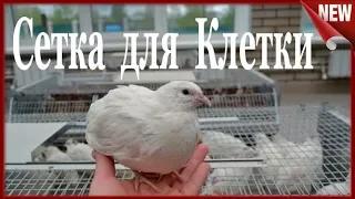 Перепела. Сетка для клетки.Размер.Ячейка.Напольная  сетка  для Перепелов