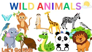 Names Of Wild Animals With Pictures for Babies, Toddlers and Kids in English | Animals Vocabulary.