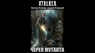 S.T.A.L.K.E.R. Череп Мутанта - Часть первая. Виктор Ночкин, Андрей Левицкий #аудиокнига #сталкер