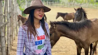 RANCH in TARLAC// MAGKANO ang isang kabayo? Cowgirl// Farm tour in Tarlac//Integrated farming PART 4