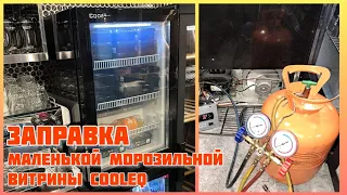 Заправка маленькой морозильной витрины COOLEQ на 290 фреоне.