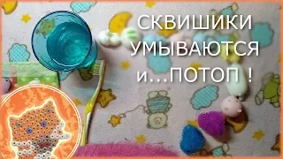 Сквишики Умываются, Чистят Зубы.. И у них случился ПОТОП!