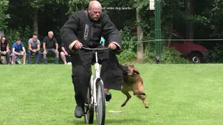 KNPV Keuring Hattemerbroek rijwielstellen 10   07   2021