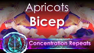 Bicep - Apricots - Concentration Repeat