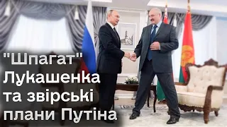 ⚡ Лукашенко сидить на воєнно-політичному "шпагаті"! А в Путіна свої підлі плани!