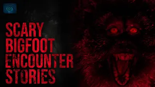 BACKWOODS MONSTERS - SCARY BIGFOOT ENCOUNTERS