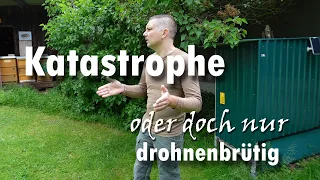 Katastrophe oder doch nur drohnenbrütig