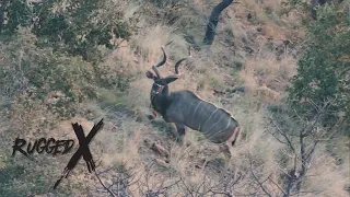 63” Greater Kudu Hunt