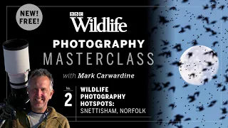 Episode Two. Wildlife hotspots: Snettisham Nature Reserve, North Norfolk | Photography Masterclass