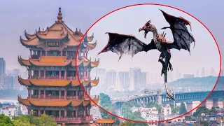 5 REAL CHINESE DRAGON CAUGHT ON CAMERA & SPOTTED IN REAL LIFE!