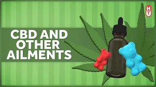 Does CBD Have Any Value as a Treatment?