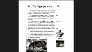 Facts and Figures - Unit 1: Animal  Lesson 4: The Hippopotamus