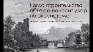 Когда строительство объекта наносит удар по экосистеме. Президент ВИТЫ Ирина Новожилова