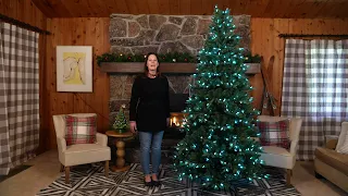 Alexa Tree Demo