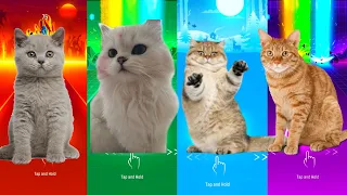 CUTE CATS - LEAN ON - WAKA WAKA - DANCIN - IMAGINE DRAGONS - TILES HOP EDM RUSH