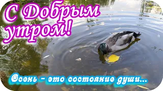 С Добрым утром! ❤️С ясным днем! ❤️Осень -  это состояние души!❤️ Прекрасного  дня!❤️Good morning!❤️