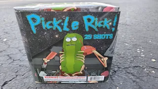 Pickle Rick! firework | 25s cake