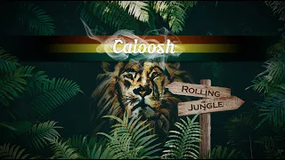 Caloosh - Rolling Jungle ( Jungle Roller Dubwise Raggajungle dnb DJ mix 2020 )