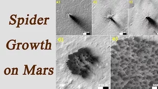 NASA reveals how spiders growing on Mars | Oneindia News