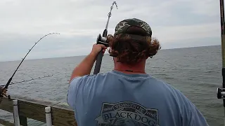 9-28-20 - Scott decking a King Mackerel (From Air shot to gaff shot)