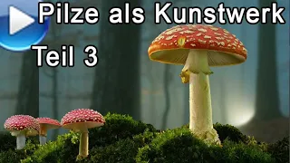 Pilze als Kunstwerk, Teil 3: den Blick schärfen, Steinpilze!