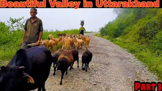 Beautiful Valley in Uttarakhand || tadkeshwar to kotdwar Pauri ||  by @desighumakka