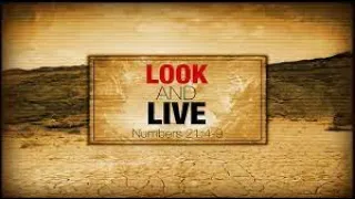 John's Gospel 8)  Look and Live