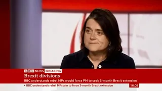 Brexit divisions - Bronwen Maddox, BBC News