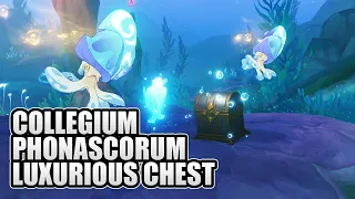 Collegium Phonascorum Sealed Luxurious Chest Puzzle Genshin Impact