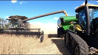 2020 Illinois Soybean Harvest with a Fendt Ideal Combine