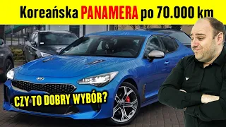 Czy używany Stinger to dobry wybór? #motodoradca